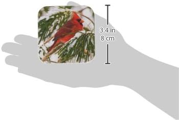 3Drose CST_112146_1 Crveni i crni kardinal smješten u snježnim borovim drvećem mekim podmorjima, set od 4