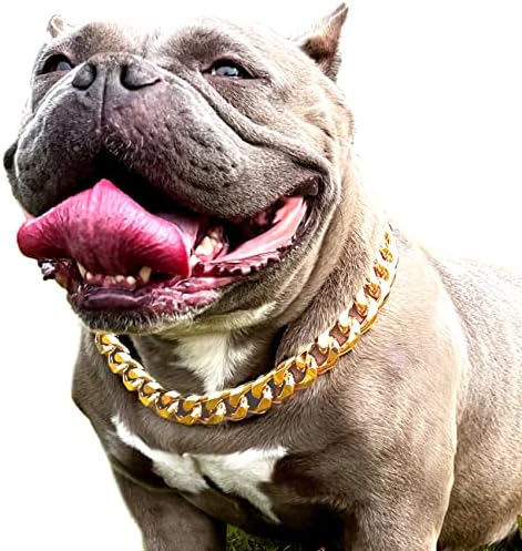 Ovratnik za pse od zlatnog lanca - ogrlica za pse široke metalne veze sa 7/8 inča s kožnim remenom, lagana zaštitna štenaca,