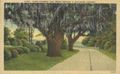 Južna autocesta, razglednica na Floridi